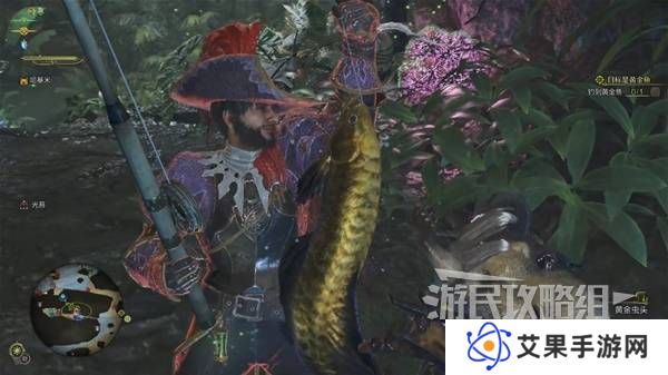 怪物猎人荒野黄金鱼怎么钓    钓黄金鱼位置一览图片6