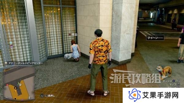 如龙8外传救护动物位置总汇   救护动物食材盘点图片19