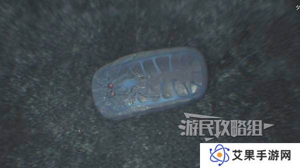 怪物猎人荒野大虚无动在哪捕获    大虚无动捕获攻略图片8