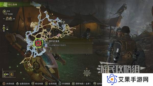 怪物猎人荒野黄金鱼怎么钓    钓黄金鱼位置一览图片3