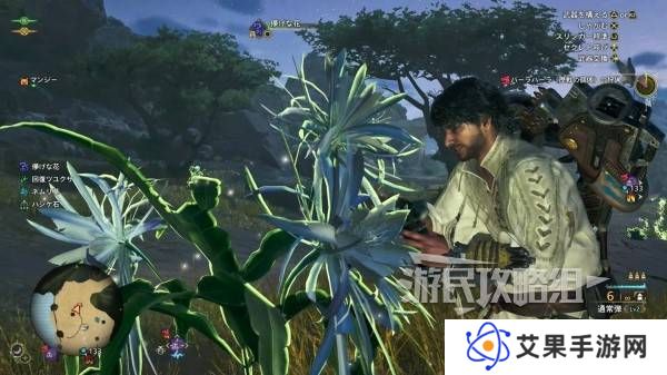 怪物猎人荒野一夜花的月华粉位置及获取途径一览