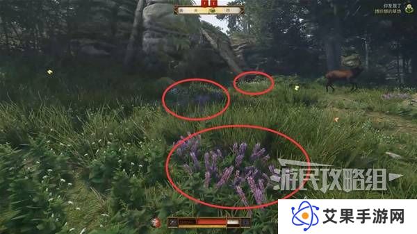天国拯救2图文攻略大全   所有任务全流程攻略总汇图片29