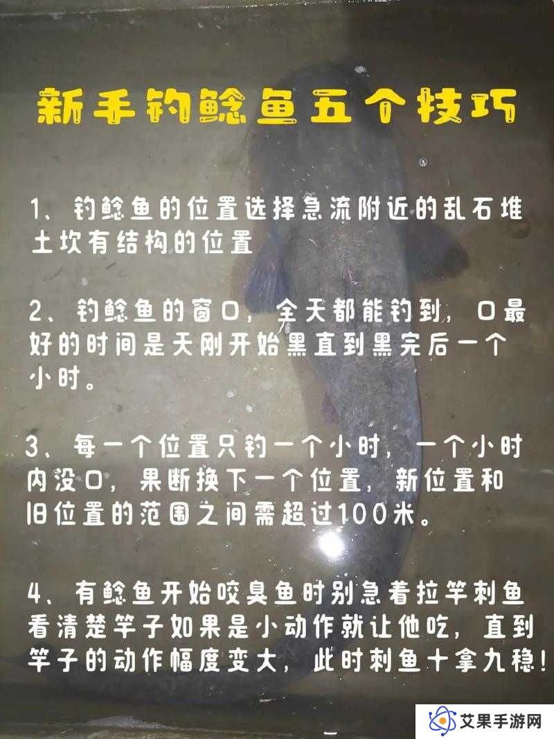 小森生活鲶鱼在什么位置钓,全面攻略指南