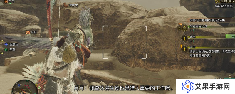 《怪物猎人：荒野》小虫子捕获流程介绍
