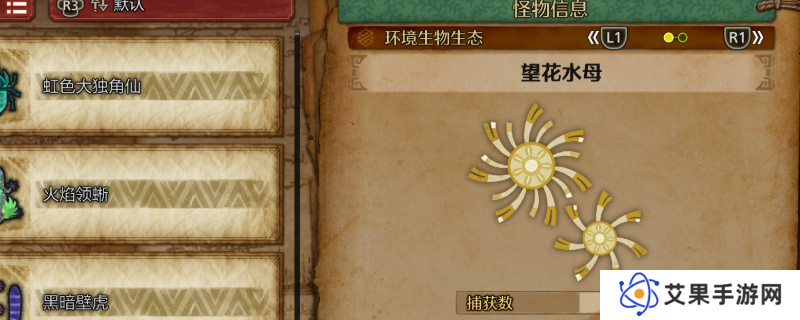 《怪物猎人：荒野》望花水母及大望花水母收集方法介绍